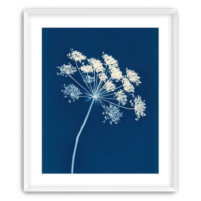 Midnight Bloom