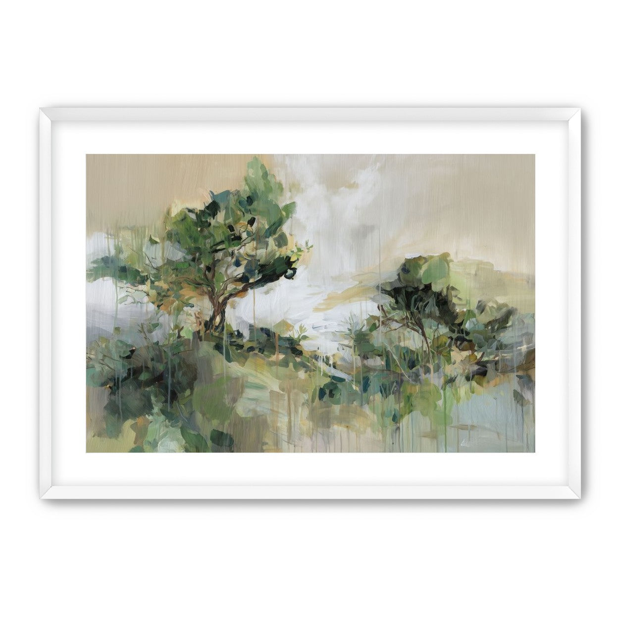 Tree Canopies in Pale Light