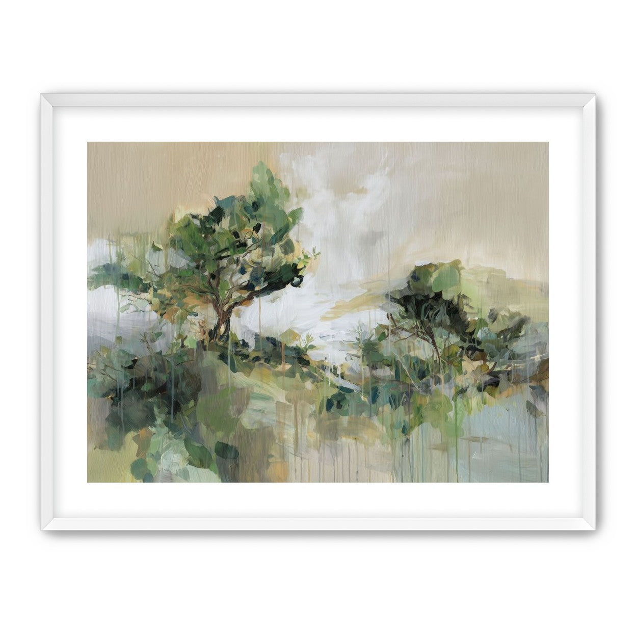 Tree Canopies in Pale Light