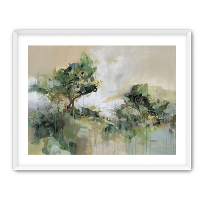 Tree Canopies in Pale Light
