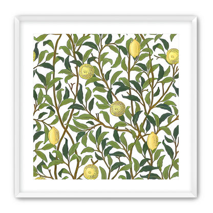 Lemon Garden