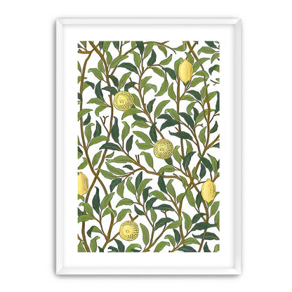 Lemon Garden