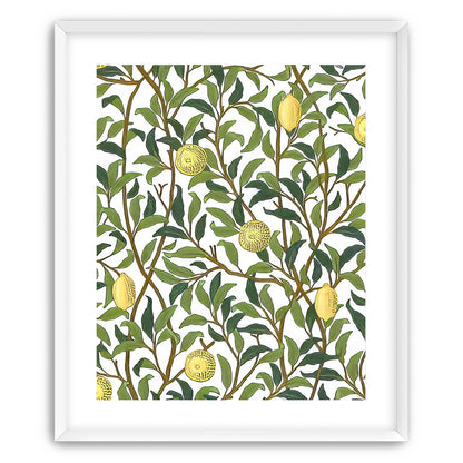 Lemon Garden