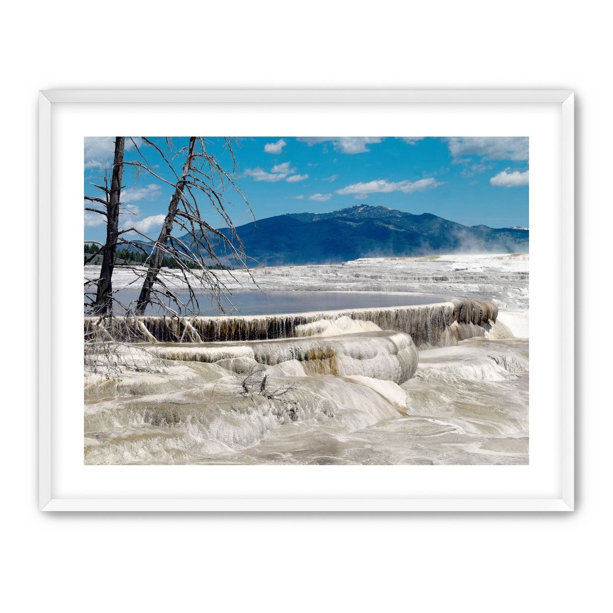 Mammoth Hot Springs