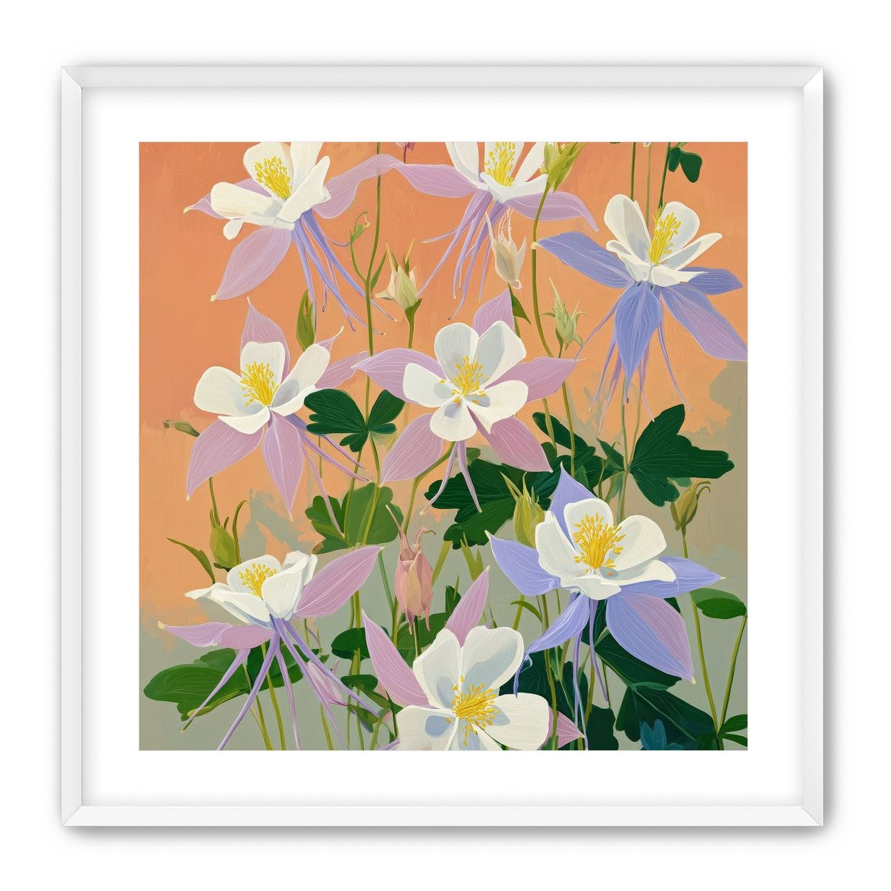 Columbines in Bloom