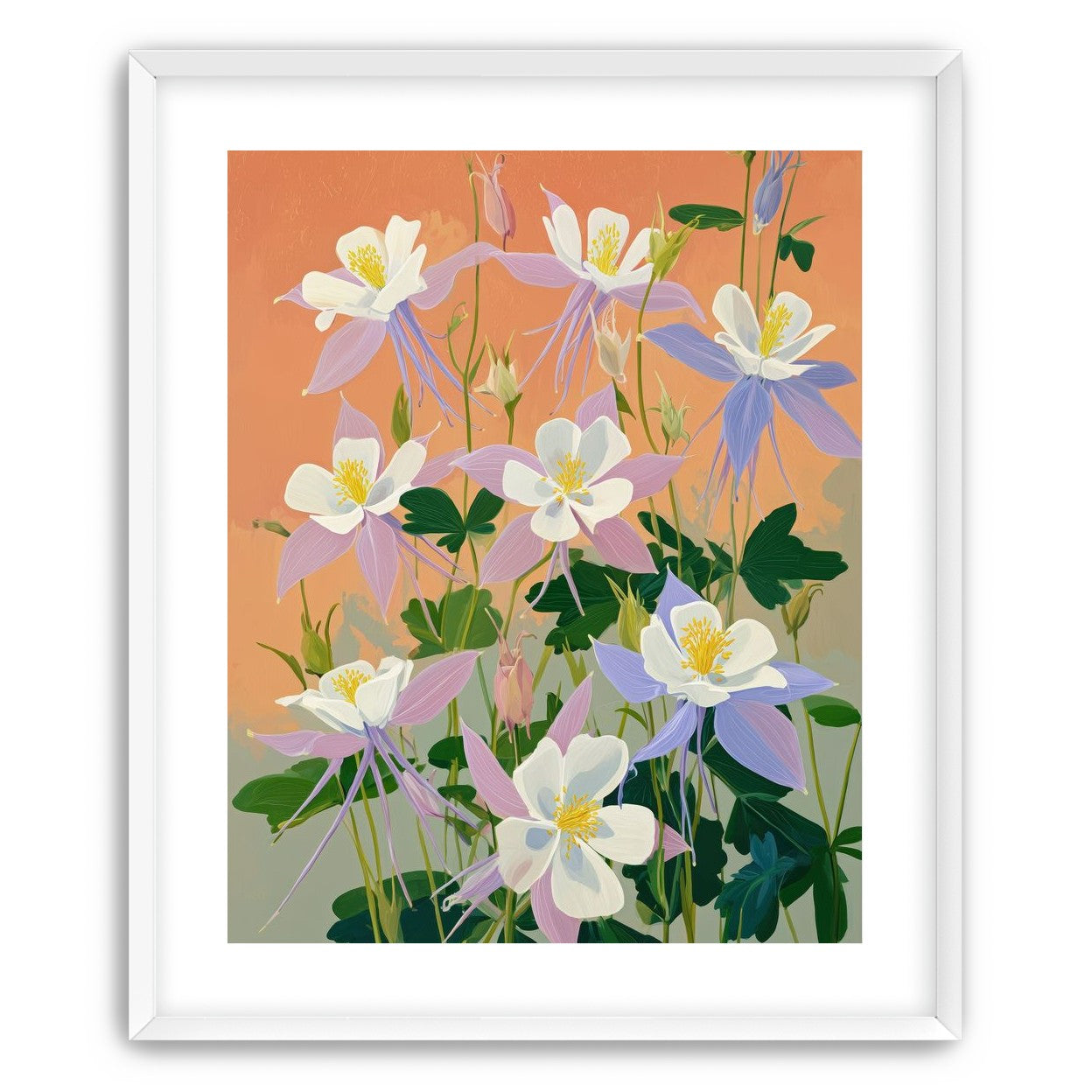 Columbines in Bloom