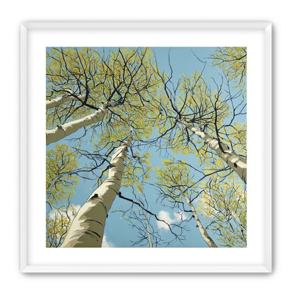 Yellow Leaves Against the Sky