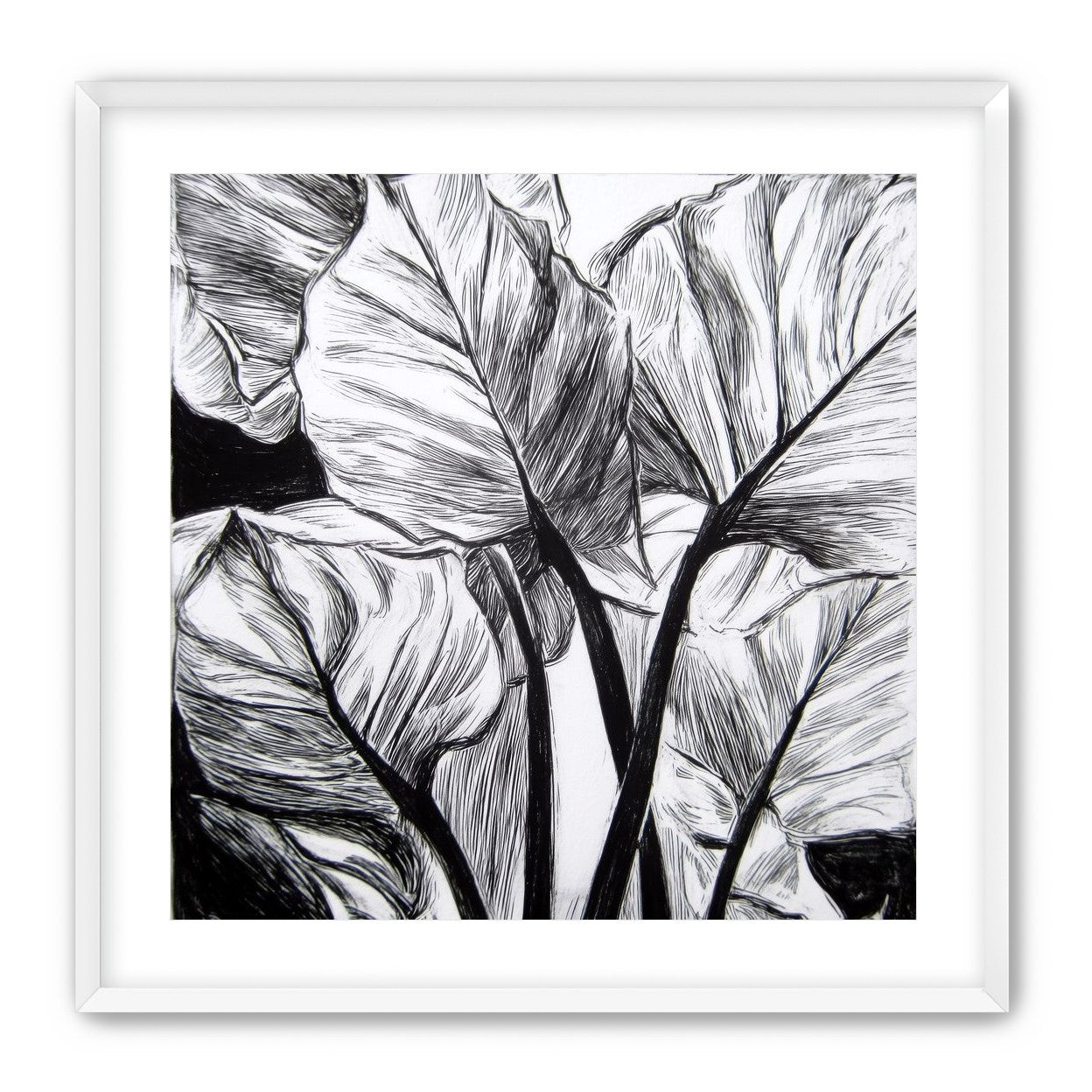 Overlapping Leaves on Dark Ground