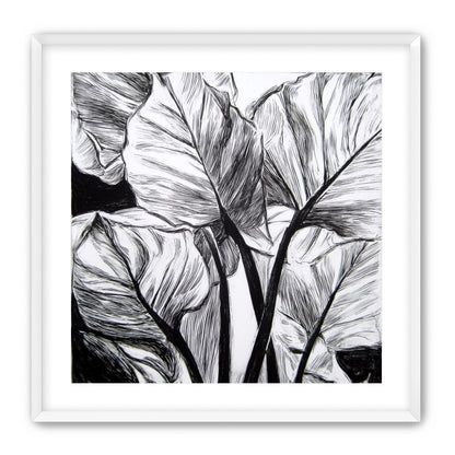 Overlapping Leaves on Dark Ground