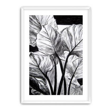 Overlapping Leaves on Dark Ground