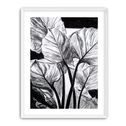 Overlapping Leaves on Dark Ground
