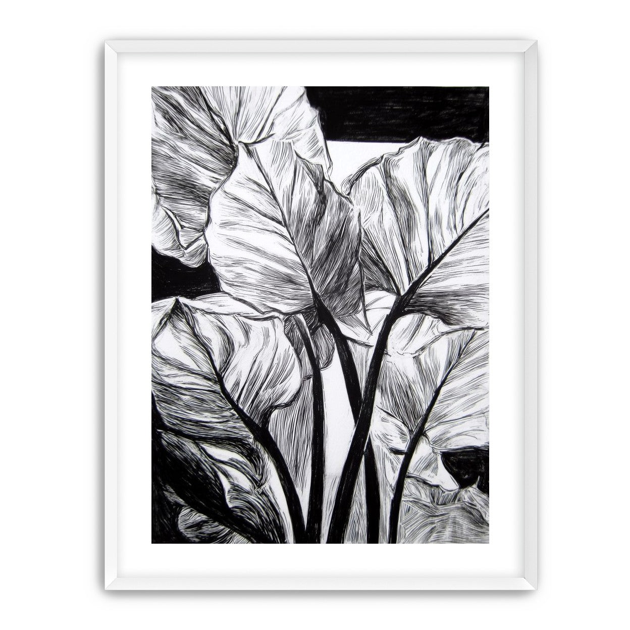 Overlapping Leaves on Dark Ground