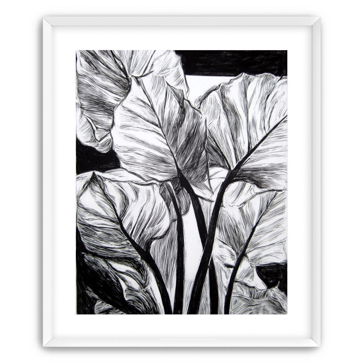 Overlapping Leaves on Dark Ground
