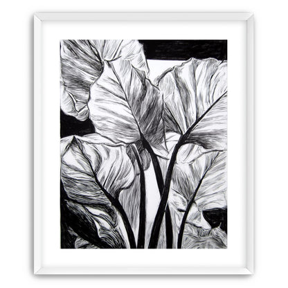 Overlapping Leaves on Dark Ground