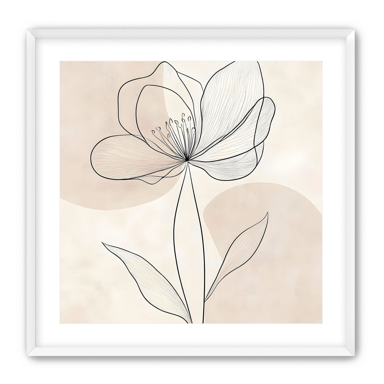 Single Bloom