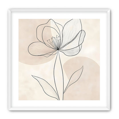 Single Bloom