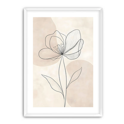 Single Bloom
