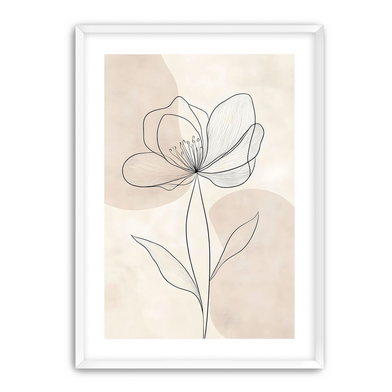 Single Bloom