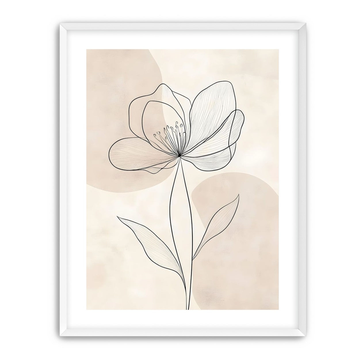 Single Bloom