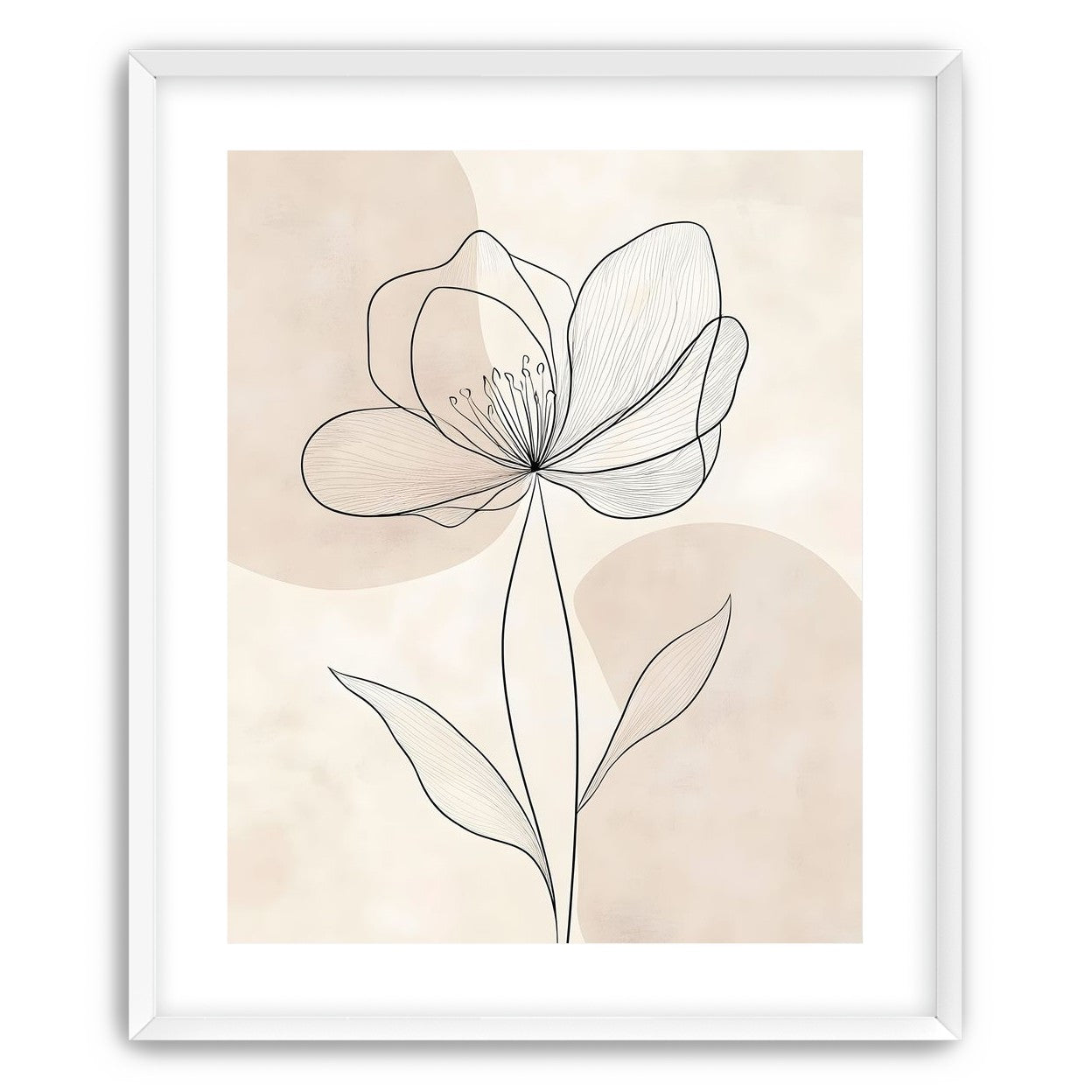 Single Bloom