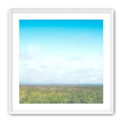 Grasslands
