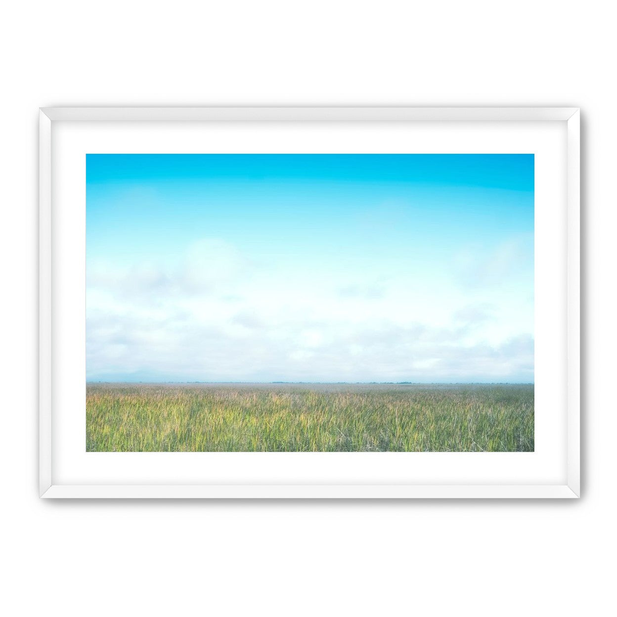 Grasslands