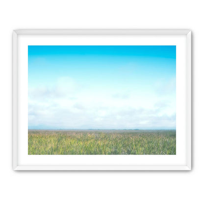 Grasslands