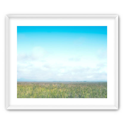 Grasslands