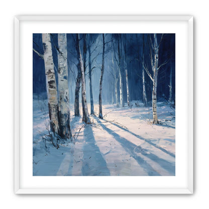Snow Shadows Between Trunks