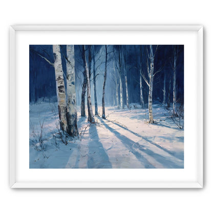 Snow Shadows Between Trunks