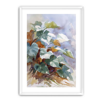Garden Leaves After Rain