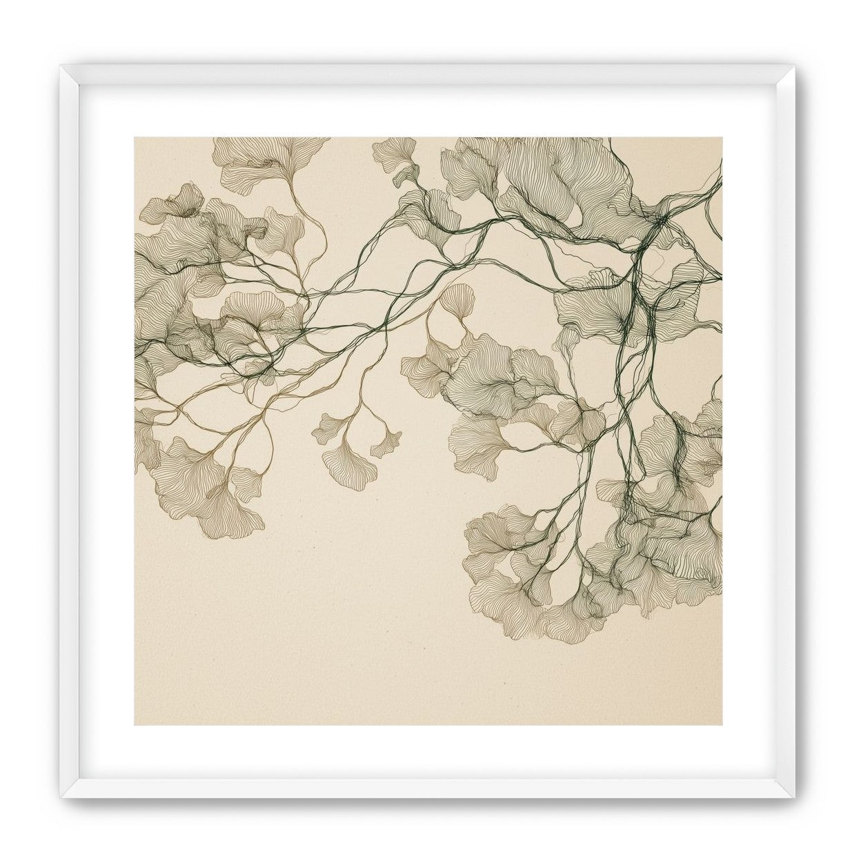 Open Canopies in Ink