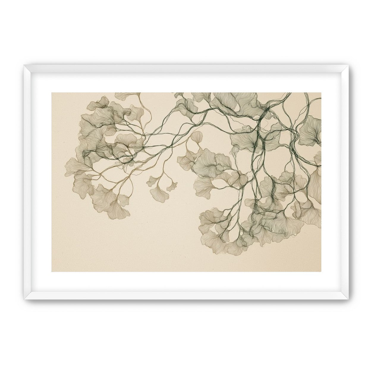 Open Canopies in Ink