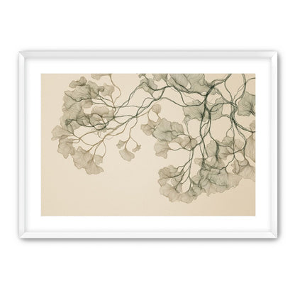 Open Canopies in Ink