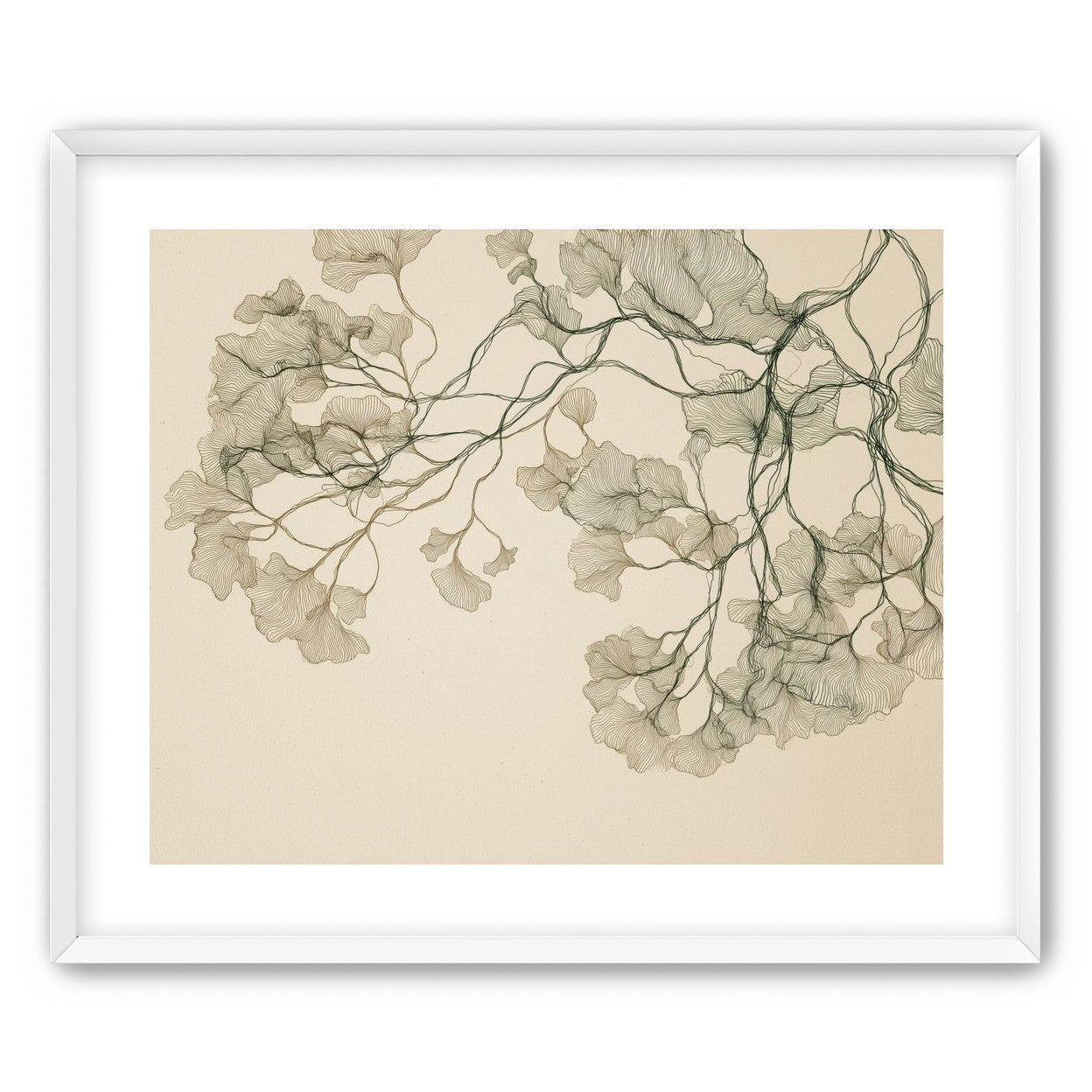 Open Canopies in Ink