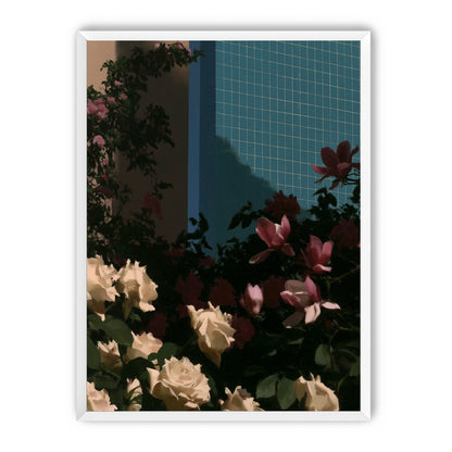 Flowers beneath the tiled wall
