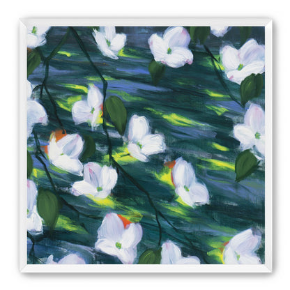White blossoms on dark water