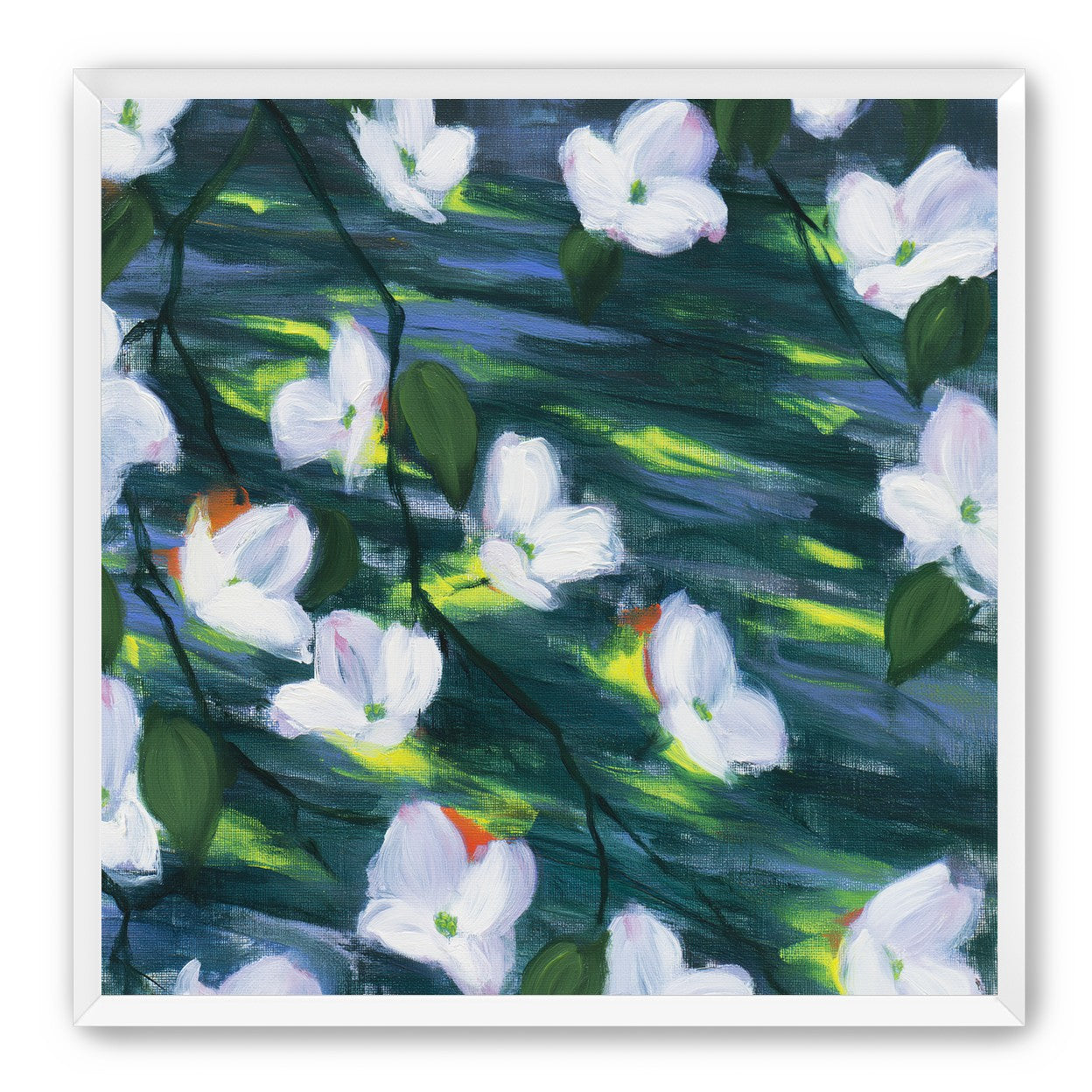 White blossoms on dark water