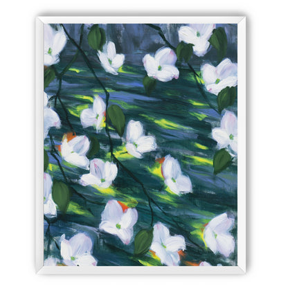 White blossoms on dark water