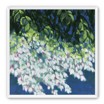 White blossoms in blue shade