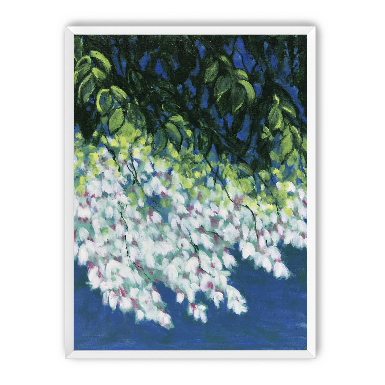 White blossoms in blue shade