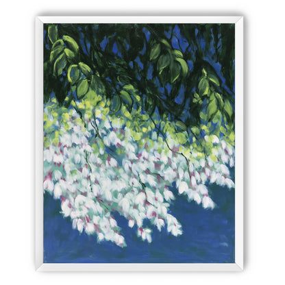 White blossoms in blue shade