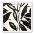 Leaves in black sweep