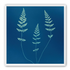 Three ferns in blue