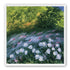 Petals on the streambank