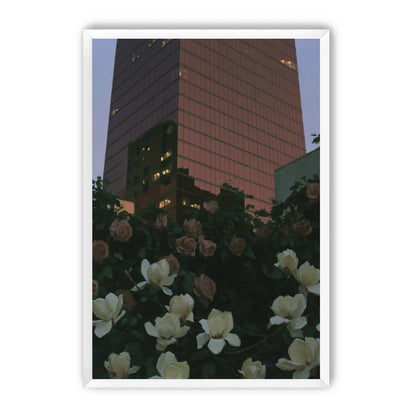 Pink tower above magnolias
