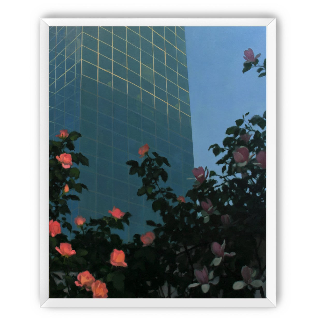 Roses beneath blue towers