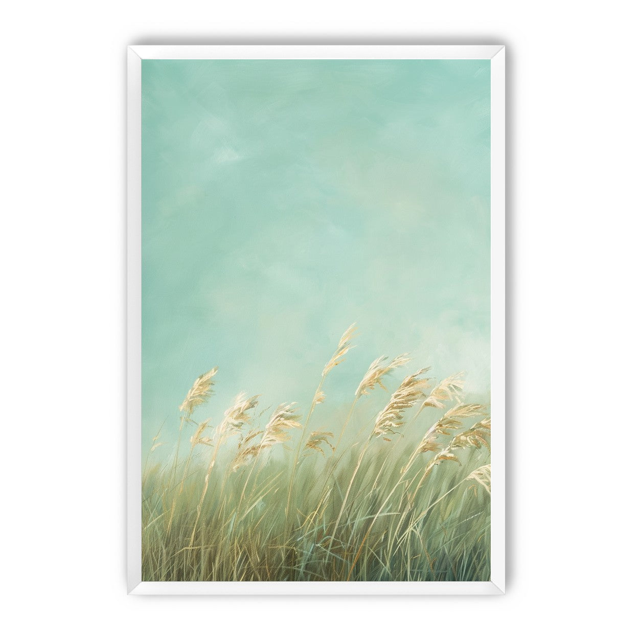 Turquoise sky over pale grass
