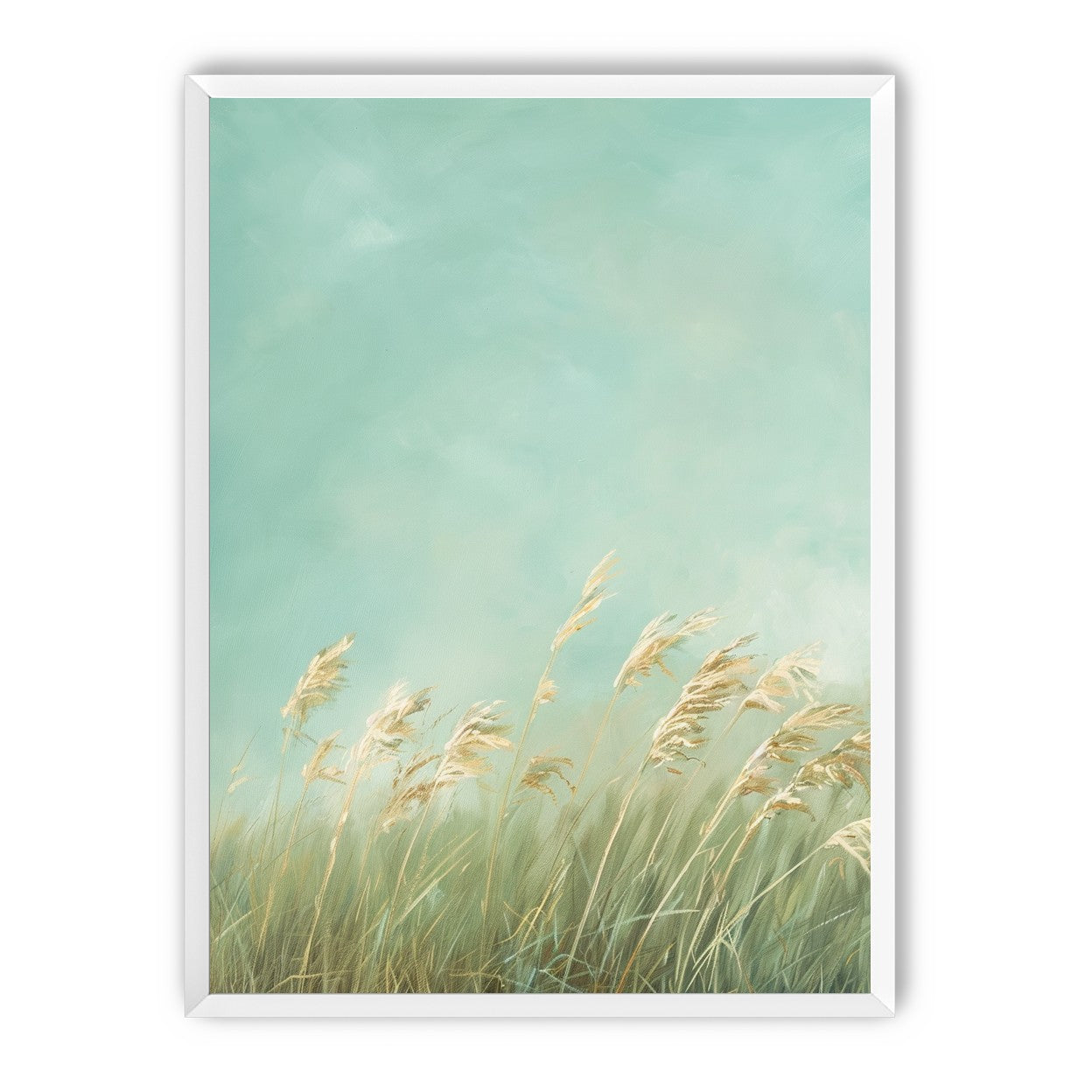 Turquoise sky over pale grass