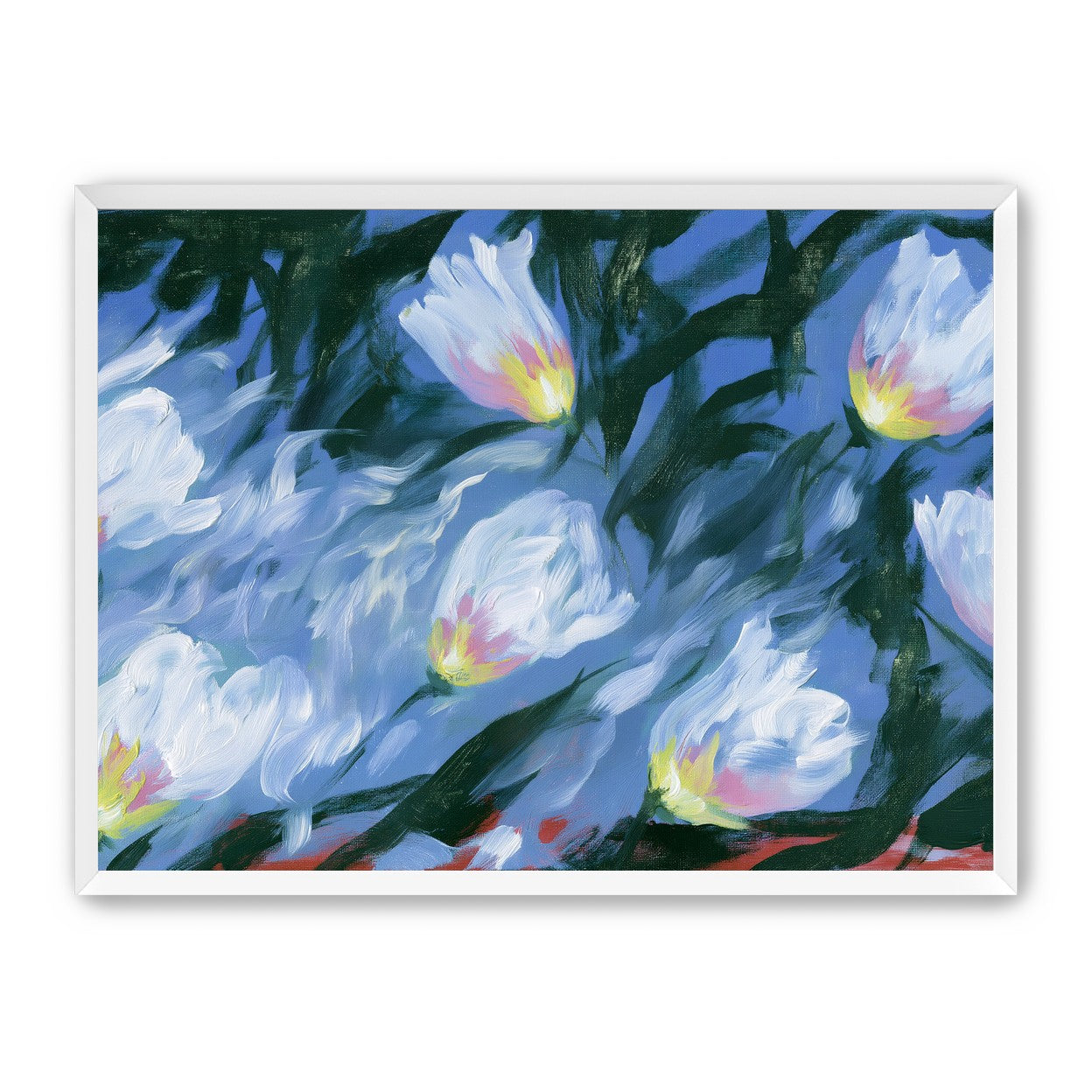 White tulips on blue ground